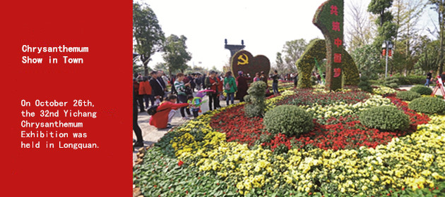 Chrysanthemum Show in Town to Celebrate the 19th National People’s Congress