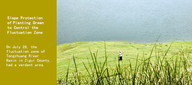Slope Protection of Planting Green to Control the Fluctuation Zone