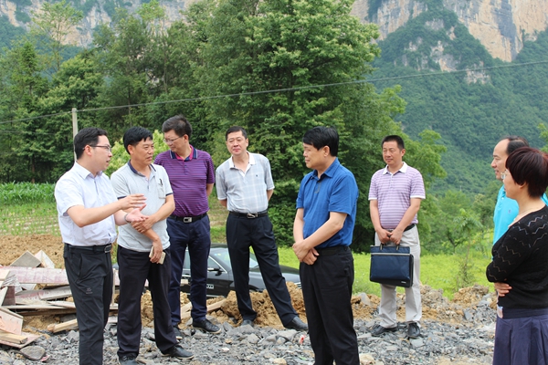 市人大副主任周青调研指导长阳堡镇村脱贫攻坚工作 - 牧业动态 - 宜昌