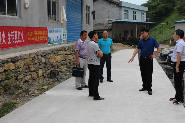 市人大副主任周青调研指导长阳堡镇村脱贫攻坚工作 - 牧业动态 - 宜昌