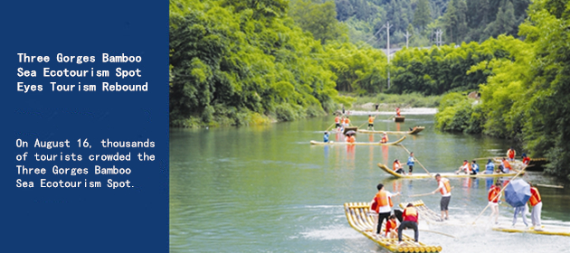 Three Gorges Bamboo Sea Ecotourism Spot Eyes Tourism Rebound