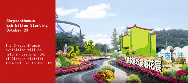 Chrysanthemum Exhibition Starting October 23