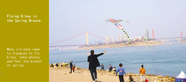 Flying Kites in the Spring Breeze 