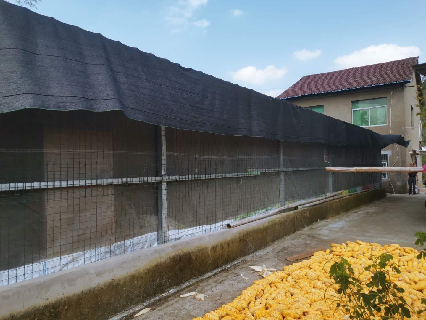 远安点面结合推三防疫情防控有保障