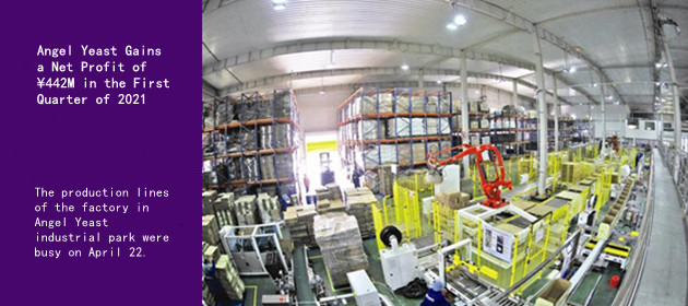 Angel Yeast Gains a Net Profit of ¥442M in the First Quarter of 2021