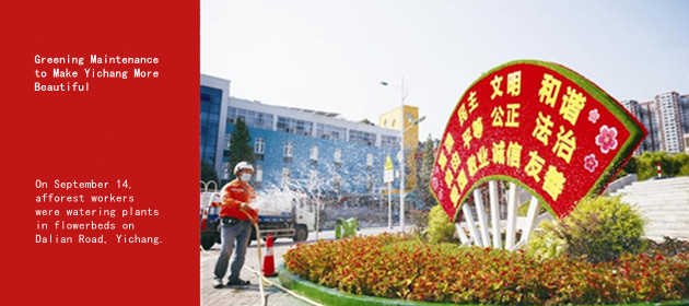 Greening Maintenance to Make Yichang More Beautiful