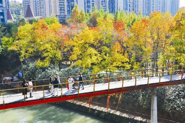 Wood in a Deep Dye in Yunhe Park