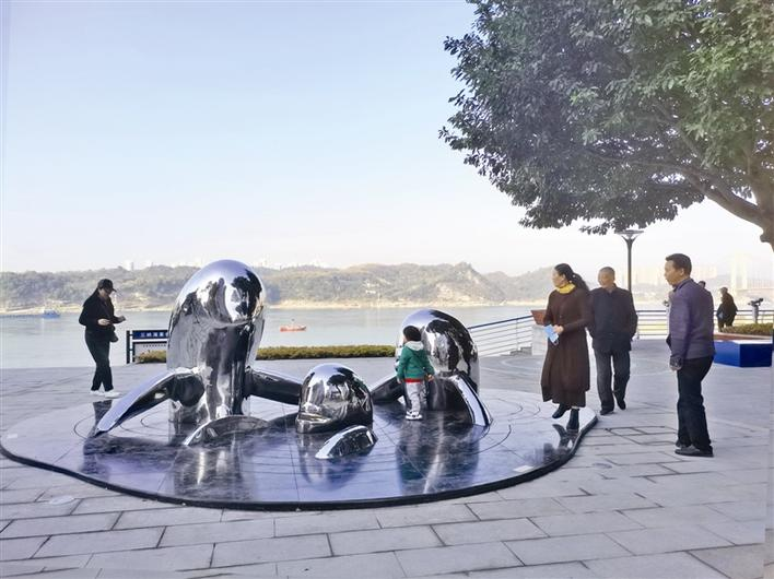 Stunning Appearance of Finless Porpoise Square 