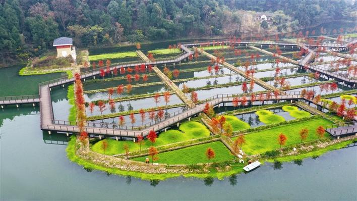 New Shahe River: A Poetic Ecological Scroll