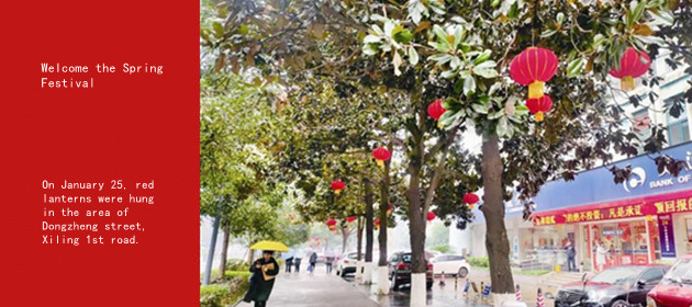 Welcome the Spring Festival