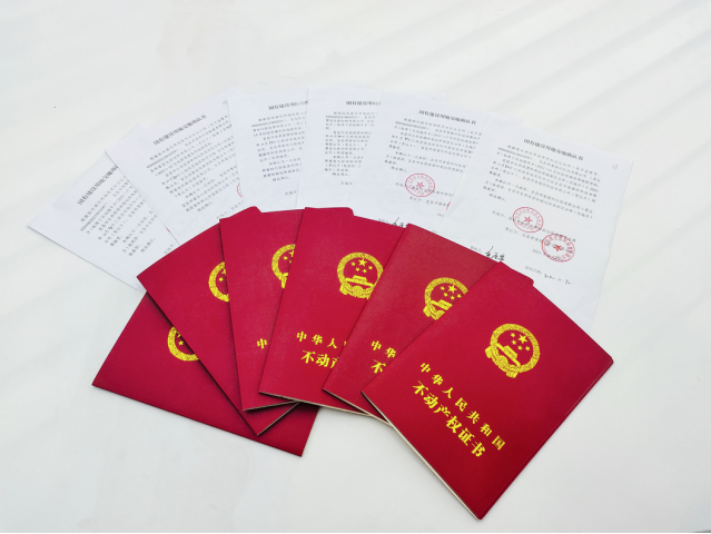 不动产登记“交地即发证”助推邦普项目顺利开工