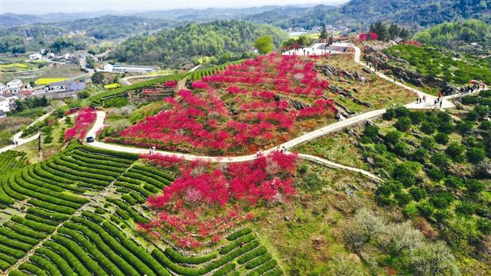 Fruit Industry Enriching Villagers