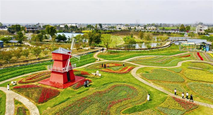 Ocean of Colorful Flowers in Spring