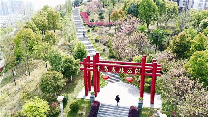 Eco-friendly City Park Becomes Attraction