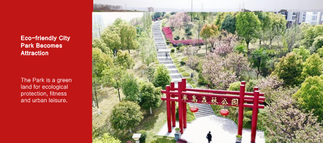 Eco-friendly City Park Becomes Attraction
