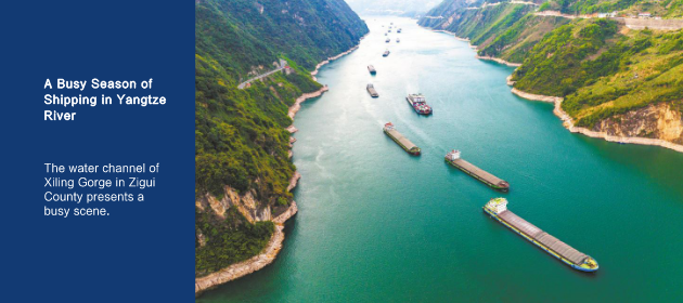A Busy Season of Shipping in Yangtze River