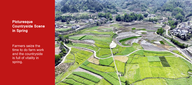 Picturesque Countryside Scene in Spring