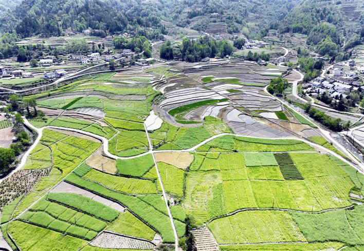 Picturesque Countryside Scene in Spring