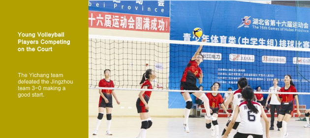 Young Volleyball Players Competing on the Court