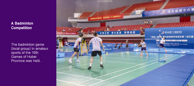 A Badminton Competition