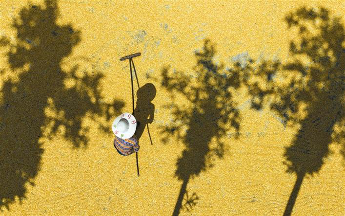 Busy Farming in Autumn
