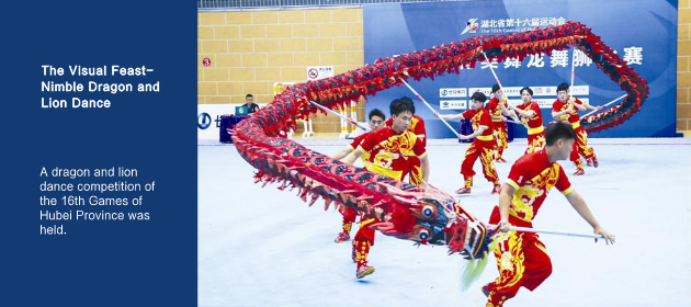 The Visual Feast-Nimble Dragon and Lion Dance