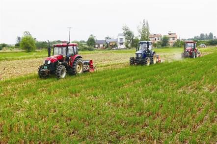 Mechanized Seeding Operation 