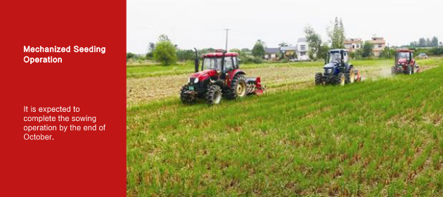 Mechanized Seeding Operation 