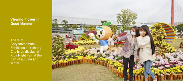 Viewing Flower in Good Manner 