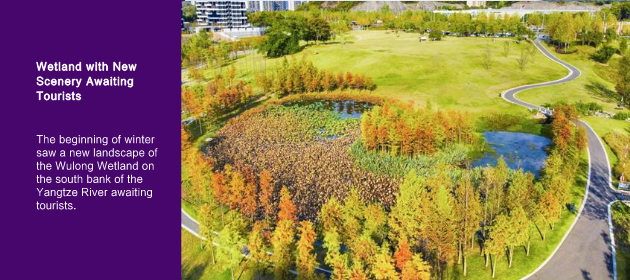 Wetland with New Scenery Awaiting Tourists 
