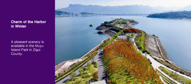 Charm of the Harbor in Winter