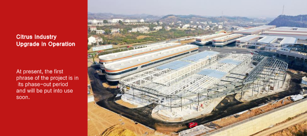 Citrus Industry Upgrade in Operation