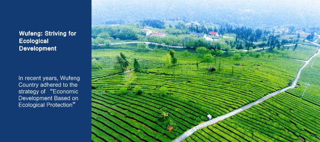 Wufeng: Striving for Ecological Development