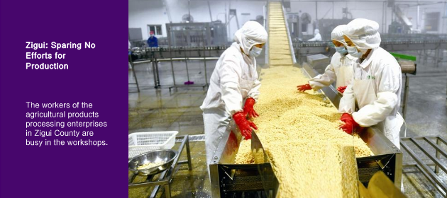 Zigui: Sparing No Efforts for Production