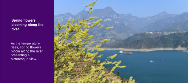 Spring flowers blooming along the river