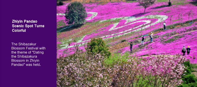 Zhiyin Pandao Scenic Spot Turns Colorful