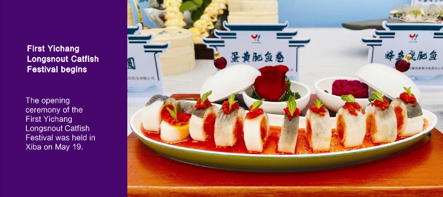 First Yichang Longsnout Catfish Festival begins