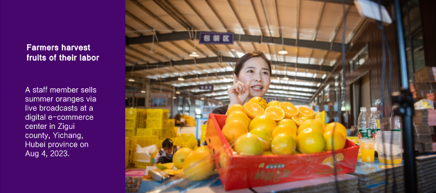Farmers harvest fruits of their labor