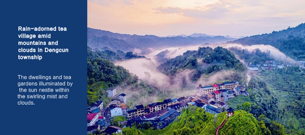 Rain-adorned tea village amid mountains and clouds in Dengcun township