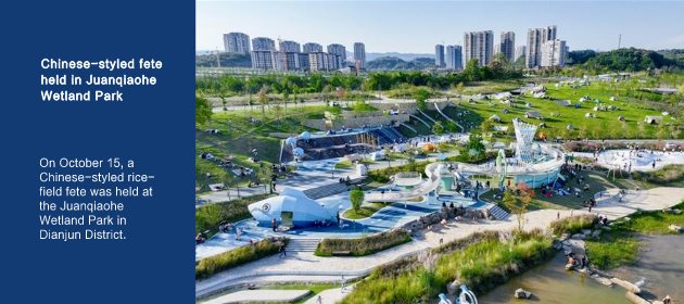 Chinese-styled fete held in Juanqiaohe Wetland Park