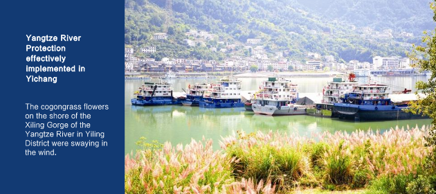 Yangtze River Protection effectively implemented in Yichang