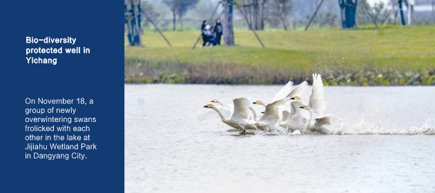 Bio-diversity protected well in Yichang