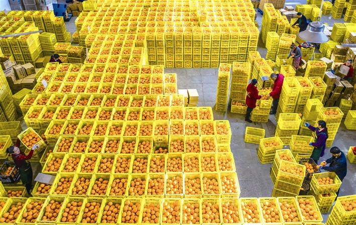 Yichang companies making a jump start