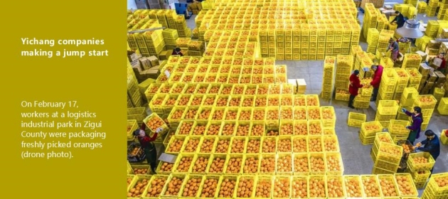 Yichang companies making a jump start
