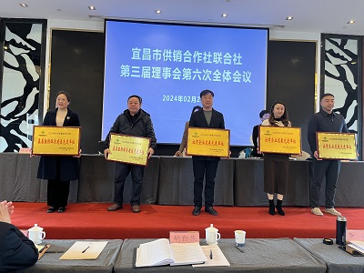 市供销社第三届理事会第六次全体会议召开