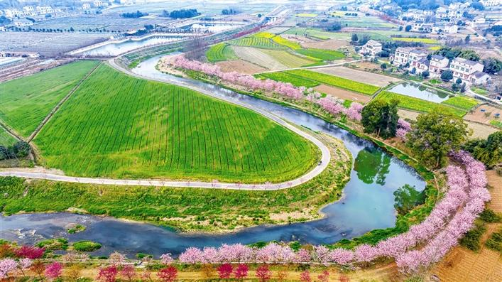 Spring scenery vitalizes tourism and leisure of Yichang people