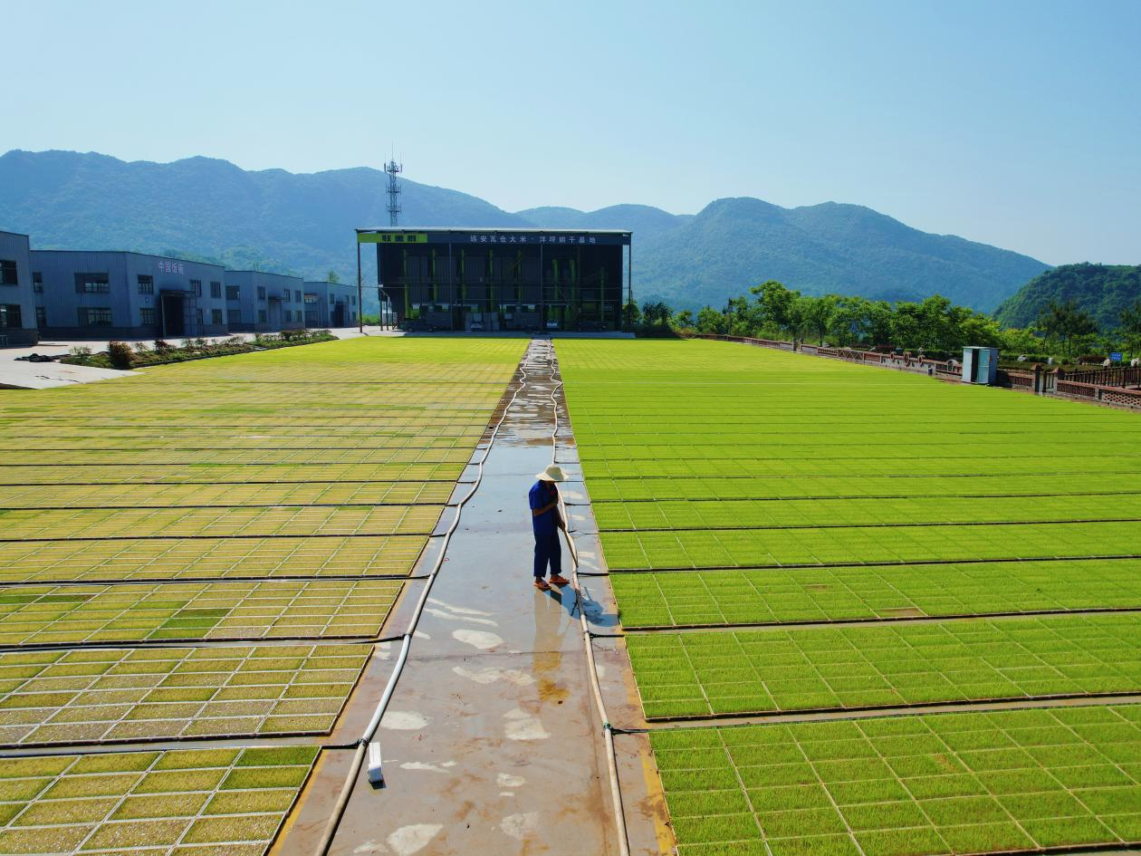 Yangping Seedling Base Supports Spring Plowing Production