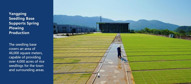 Yangping Seedling Base Supports Spring Plowing Production