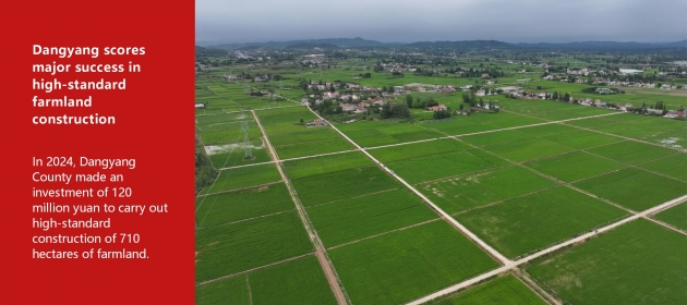 Dangyang scores major success in high-standard farmland construction
