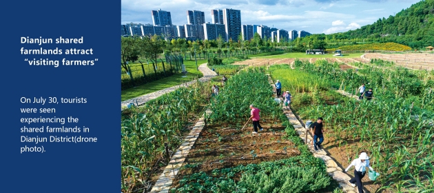 Dianjun shared farmlands attract “visiting farmers”